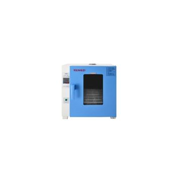 电热恒温培养箱HDPN-II-256型